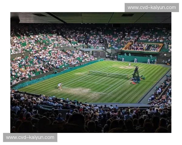 温网复盘 温网复盘